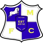Milford FC Reserves