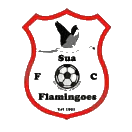 Logo Sua Flamingoes